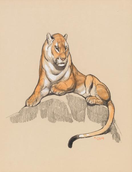 Panthère sur un rocher