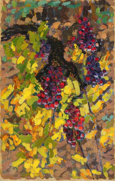 Plant de vigne aux raisins mauves